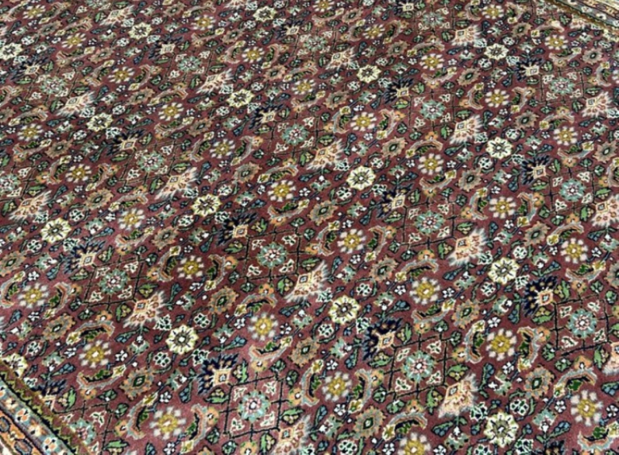 Bidjar carpet india wool on coton 