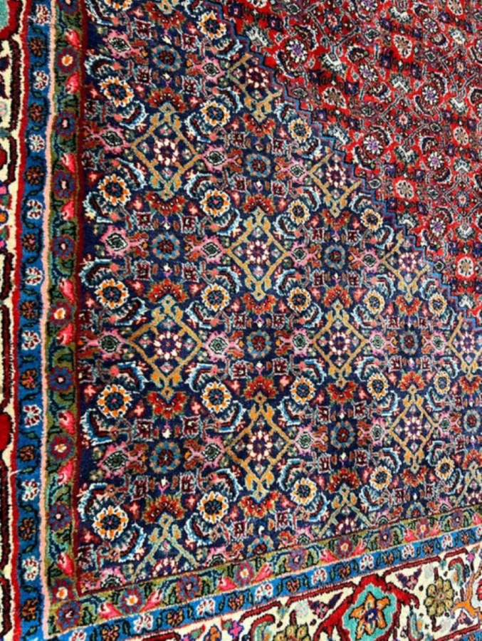 Bidjar carpet wool on coton Iran