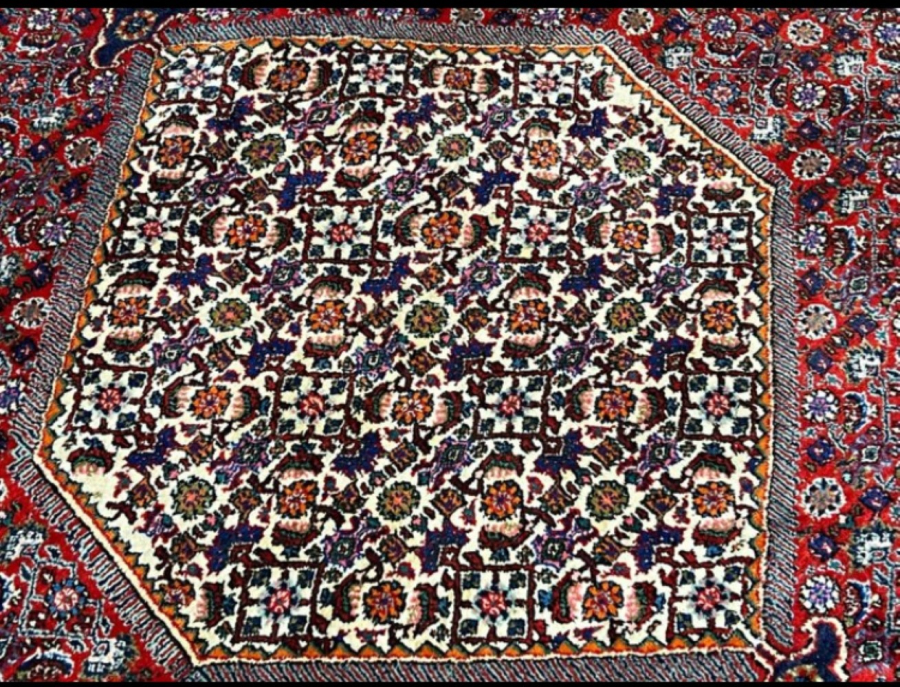 Bidjar carpet wool on coton Iran